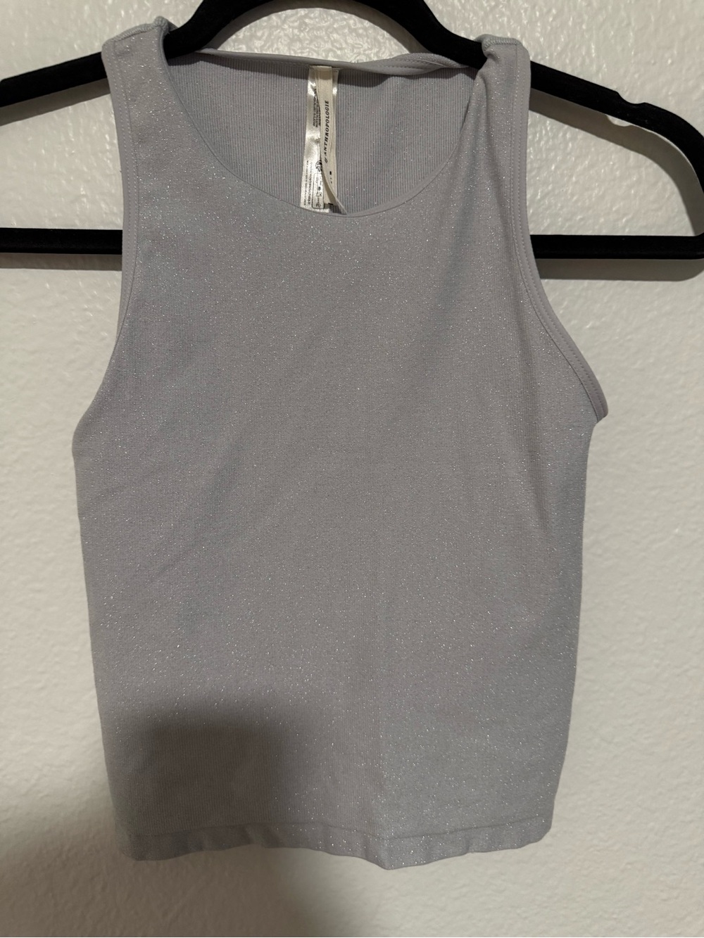 Anthropologie Light Silver Shimmer Tank Top